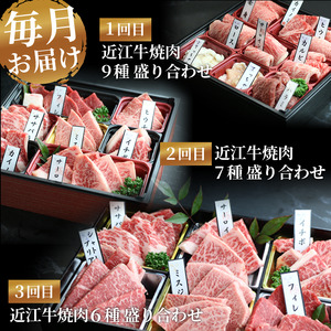 近江牛 焼肉 特上 盛り合わせ 定期便 3回 冷凍 シャトーブリアン ( 近江牛 サーロイン フィレ ヘレ 希少部位 ミスジ クラシタ イチボ ヒウチ ササバラ ラムシン 等 カルビ ロース ハラミ こてっちゃん 3ヶ月 赤身 和牛 黒毛和牛 ブランド 牛肉 近江牛 贈り物 ギフト 国産 近江牛 滋賀県 竜王町 岡喜 霜降り 神戸牛 松阪牛 に並ぶ 日本三大和牛 ふるさと納税            