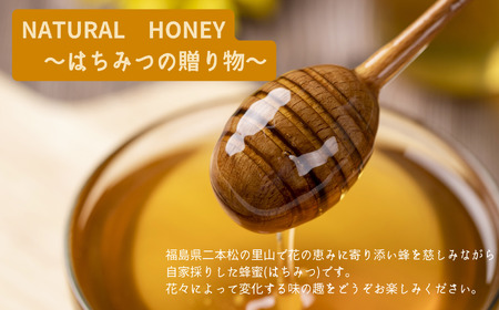 自家採り国産 天然熟成アカシヤ巣蜜  | ハチミツ 蜂蜜 【株式会社渡辺養蜂場】
