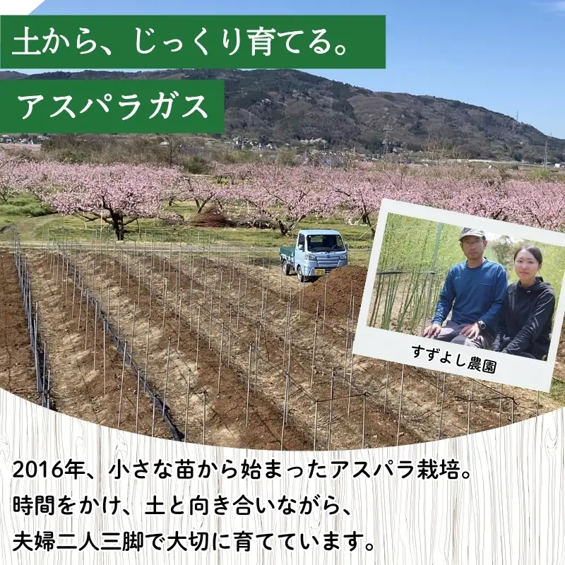No.0793 【農家直送】鮮度抜群！ アスパラガス 1kg箱入【2026年発送】