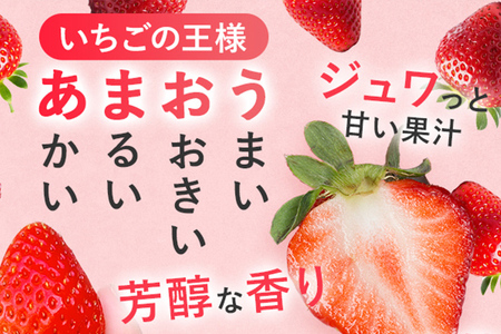 冷凍いちご（あまおう）約1.5kg ジャム シロップ スムージー 冷凍 イチゴ 苺 あまおう 果物 くだもの フルーツ 冷凍果実 冷凍フルーツ 先行予約 送料無料