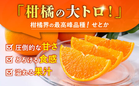 27年2月下発送 せとかみかん約2.5kg化粧箱入り せとか果物ギフトZBN002