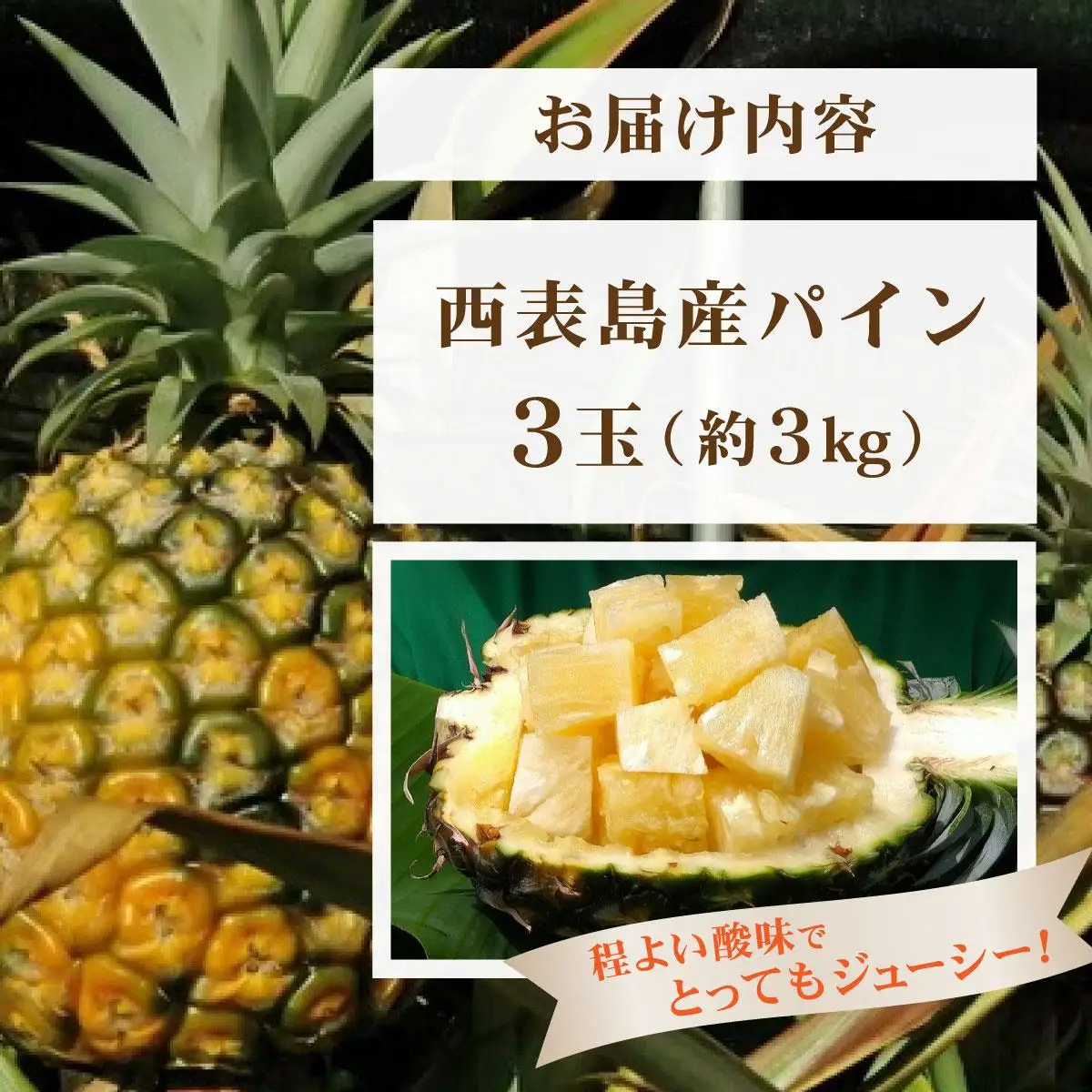 パイン 3玉セット 約3kg