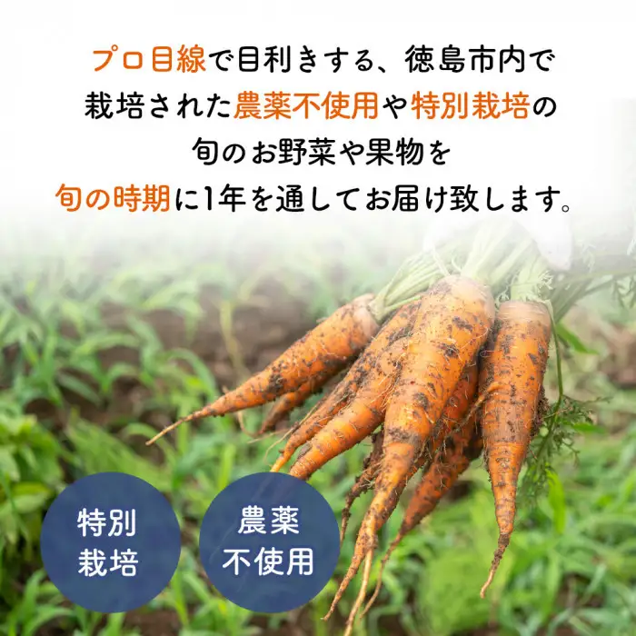 【12ヶ月定期便】野菜 くだもの 米（月替わりで毎月お届け）
