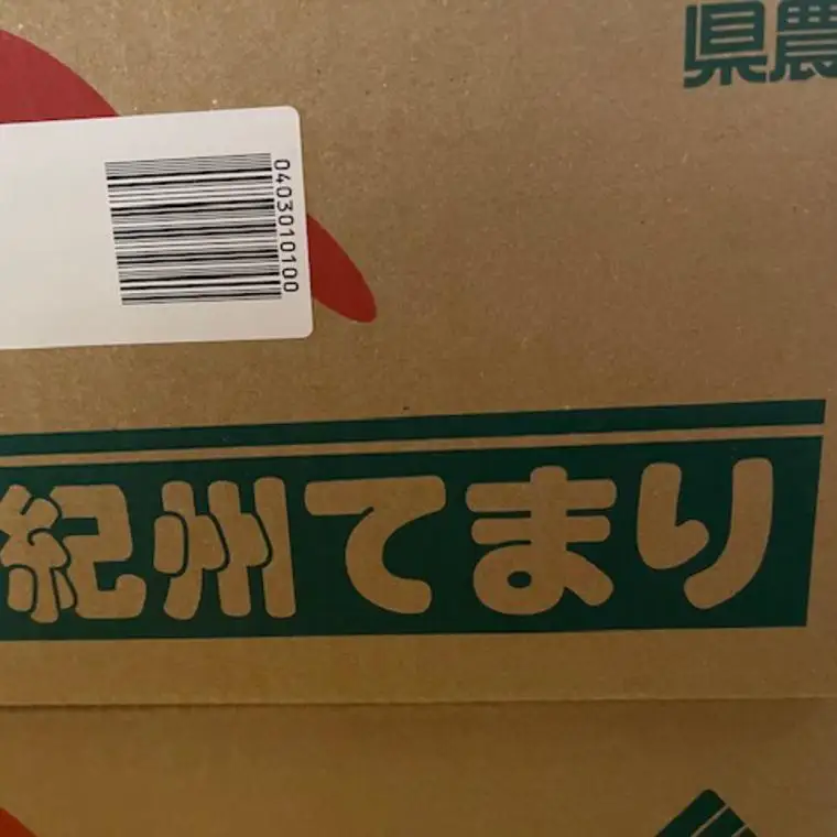 富有柿の新品種「紀州てまり」約7.5kg（22玉～32玉おまかせ）★2026年11月頃より順次発送［TM87］