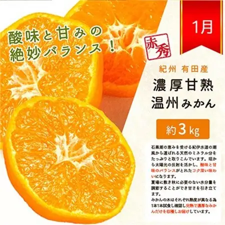 【発送月固定定期便】紀州和歌山産旬の柑橘セット(みかん・なつみ・バレンシア)全3回【配送不可地域：離島】【4011933】