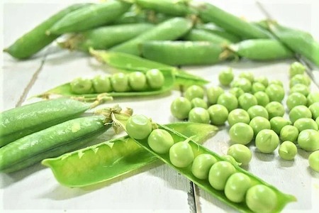 旬の野菜 詰め合わせセット 5品種 ( お楽しみ 産地直送 農家直送 季節 旬 おまかせ 春 夏 秋 冬 やさい サラダ 新鮮 玉ねぎ 人参 じゃがいも ピーマン 大根 なす キャベツ 等 豊浦町 川棚 下関 山口 ) FW003