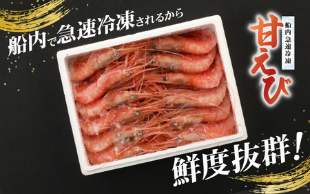 新鮮美味！ 甘エビ(船凍甘エビ 大サイズ)約500g おいしいたまり醤油付 甘えび [m21-a036]