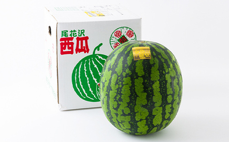 《先行予約 2026年度発送》山形県産すいか 1玉（2～3Lサイズ） スイカ すいか 西瓜 デザート フルーツ 果物 くだもの 果実 食品 山形県 FSY-1273