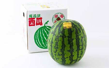《先行予約 2026年度発送》山形県産すいか 1玉（4～5Lサイズ） スイカ すいか 西瓜 デザート フルーツ 果物 くだもの 果実 食品 山形県 FSY-1274
