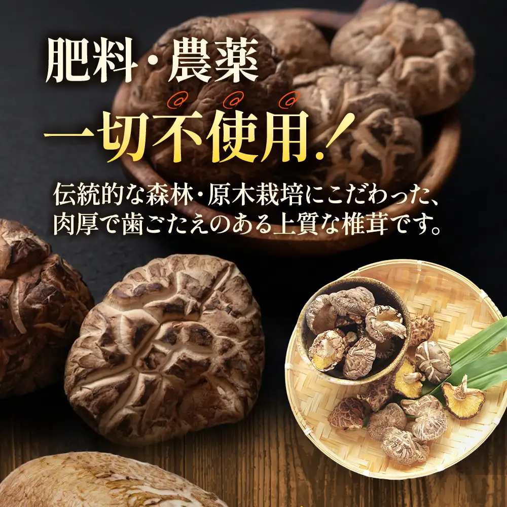 乾燥しいたけ 特撰・伊勢どんこ 椎茸 野菜 250g 