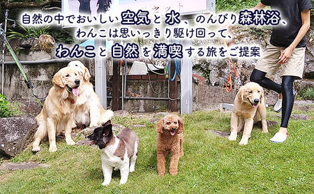 浬世人（リセット）【15,000円分】宿泊補助券 ペットと泊まれる 犬 犬好き ペット わんこ 河津 河津町 静岡 伊豆 宿泊券 自然 旅行 観光