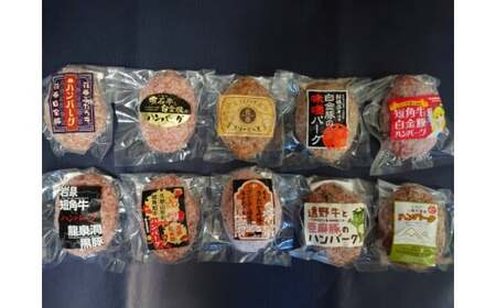 岩手県産ご当地生ハンバーグ10種セット 【1837】