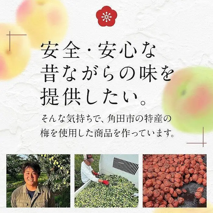 宮城県角田産 【無添加】 まごころ 手作り 梅干し (270g)・練り梅(160g)１セット｜ うめぼし パウチ