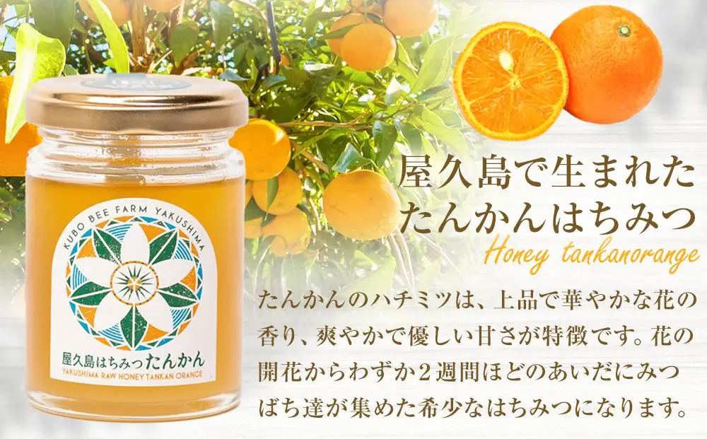 【非加熱・無添加】屋久島産 はちみつ（たんかん）120g×1個＜久保養蜂園 屋久島ファーム＞【 はちみつ】