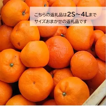 訳あり・ご家庭用　早生みかん　約5kg(農家お助け2S～4L規格)【2026年12月中旬～順次発送】【配送不可地域：離島・北海道・沖縄県】【1491580】