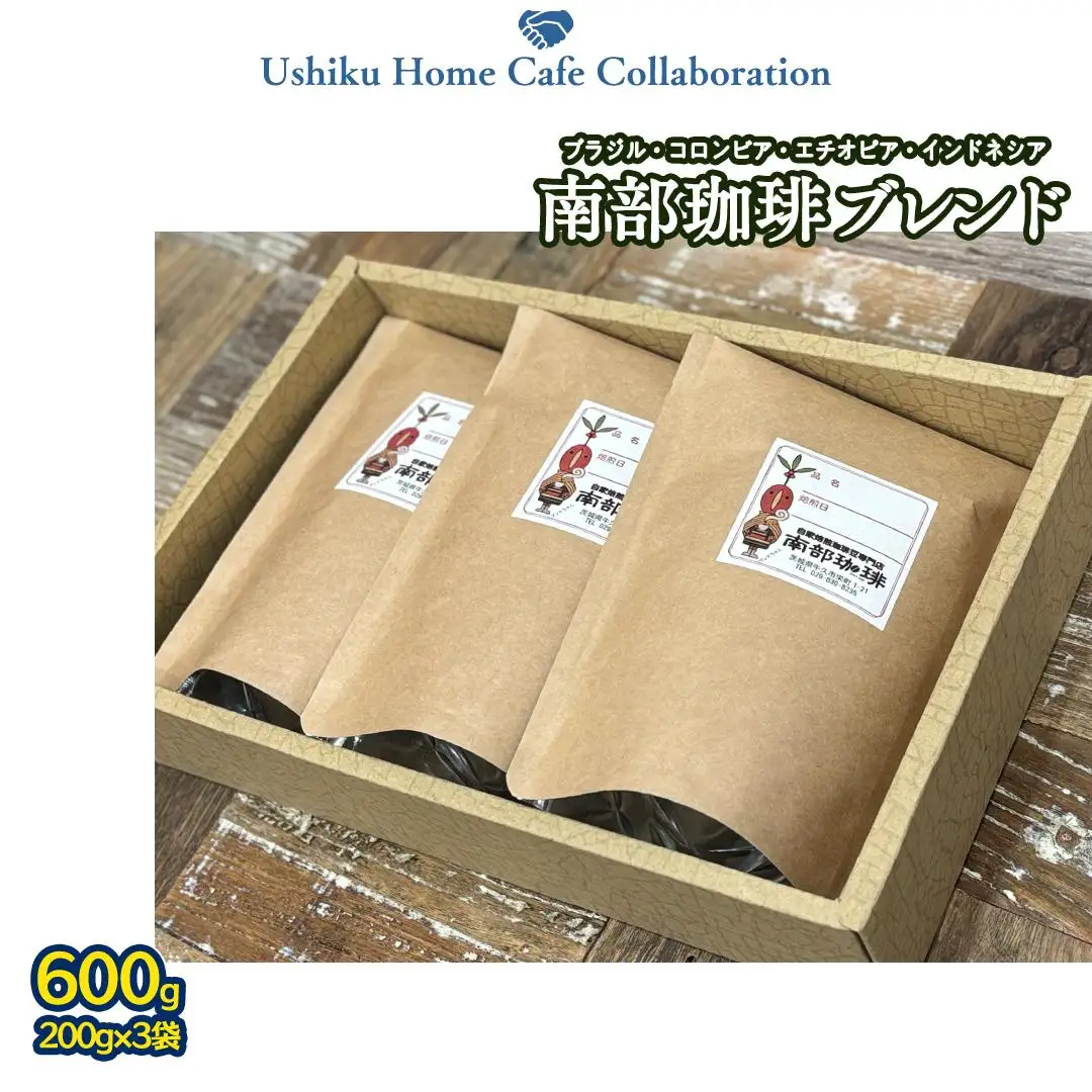 【牛久市限定コラボ】 南部珈琲 ブレンド 200g × 3袋 ＆ Dot.Bagel おまかせ ベーグル 10個 コーヒー豆 600ｇ