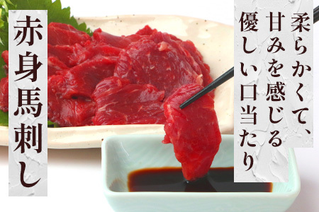 【定期便6回】赤身 馬刺し ブロック 計1.2Kg (100g×2)×6回 冷凍真空パック【 熊本県 多良木町 たらぎ 馬肉 馬刺し 冷凍 真空 熊本肥育 】 041-0142