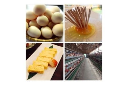 ひまわりたまご紅白10個・パウンドケーキ（ショコラ）1本セット　卵 鶏卵 たまご ショコラ スイーツ デザート お菓子 洋菓子 山梨 富士川町