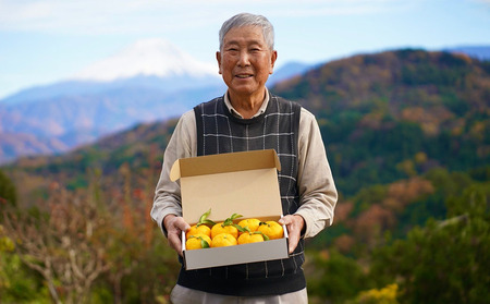 【２０２６年発送分】富士川町産 ゆず 約２kg　産地直送 穂積の柚子 マーマレードにも 柚子 ユズ 山梨 やまなし 富士川町【A5402】