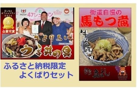 甲州名物！牛より馬い「うま丼の具」6個＆「馬もつ煮」3個ふるさと納税限定セット　馬肉 桜肉 国産 ご当地グルメ 郷土料理