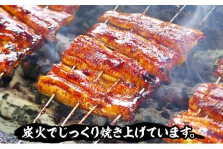 国産炭火焼うなぎ 蒲焼2尾（大串）国産 鰻 2人前 たれ付 山椒付 約80g×4 小分け