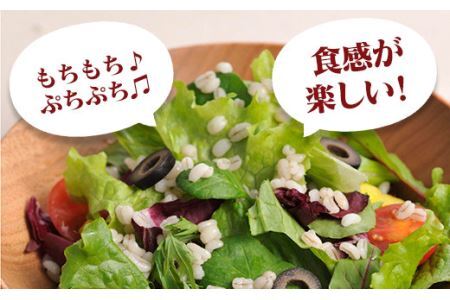 もちもちぷちぷち食感♪　国産もち麦  800g×6袋　チャック付 食物繊維 大麦 大容量 はくばく ハクバク 国産 もち麦 もちむぎ 山梨 やまなし 富士川町
