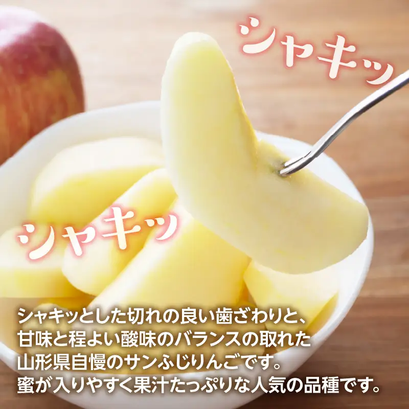 《先行受付》サンふじ約5kg 【2026年12月上旬頃～発送予定】【山形りんご・大江町産】 001-083