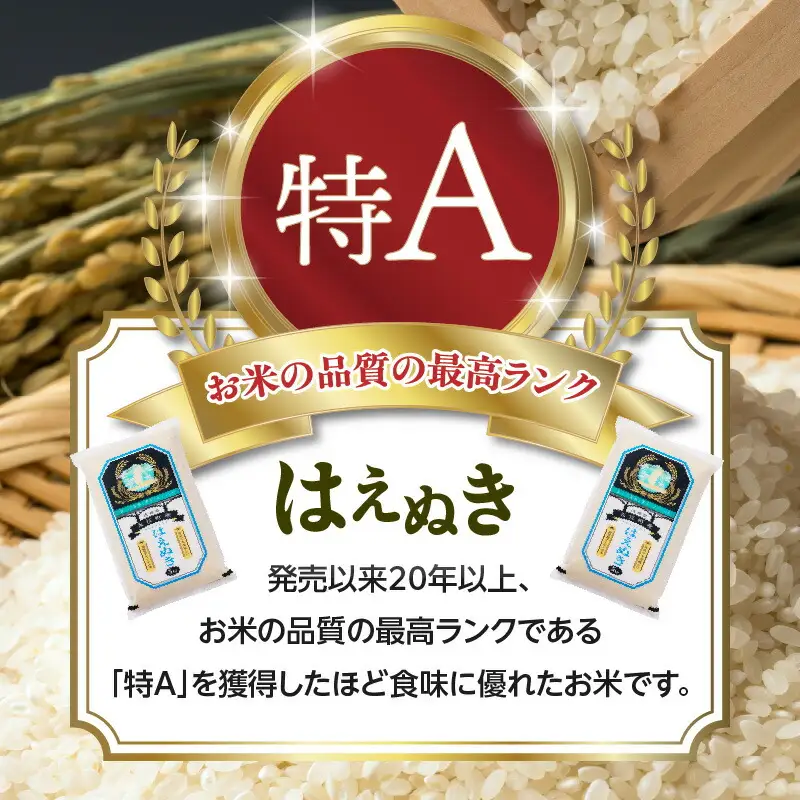 大江町産 はえぬき 10kg(5kg×2袋)【山形県産】【2025年度産米】 001-086