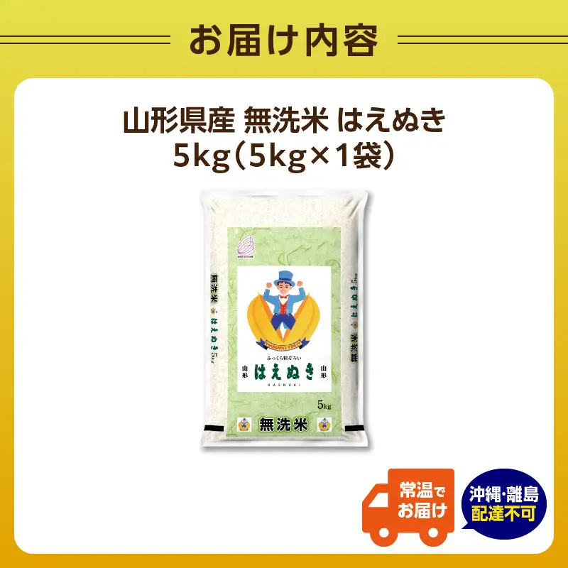 山形県産 無洗米 はえぬき 5kg【山形県産 BG精米製法】【2025年度産米】 036-001