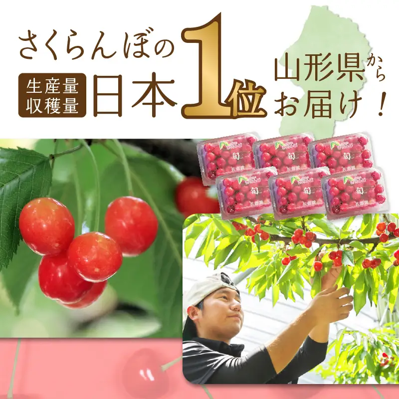001-088 《先行受付》おまかせさくらんぼ 佐藤錦 or 紅秀峰  フードパック 約1.08kg (180g×6) 【2026年6月中旬頃～発送予定】【山形県産さくらんぼ】 001-088