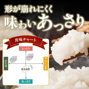 《3ヶ月定期便》大江町産 はえぬき 10kg(5kg×2袋)×3ヶ月(計30kg)【山形県産】001-T24