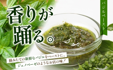 北海道 バジル ペースト 100g×2個 45g×2個 計4個 2026年7月中旬から発送 ハーブ オリーブオイル 国産 調味料 ソース イタリア料理 パスタ ピザ ドレッシング ジェノベーゼ 手軽 簡単 保存食 瓶詰 瓶 ギフト 