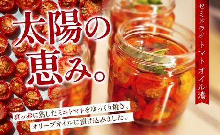 北海道 野菜 瓶詰め 2種 セット〈小〉バジル ペースト セミドライ トマト オイル漬け 各45g 各2個 計4個  2026年8月上旬から発送 ハーブ オリーブオイル 乾燥野菜 国産 パスタ ピザ バケット 保存食 ギフト 瓶 
