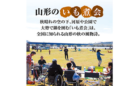 山形のいも煮 内陸味（醤油味・牛肉入り）2袋と庄内味（味噌味・豚肉入り）2袋 食べ比べセット F2Y-3834