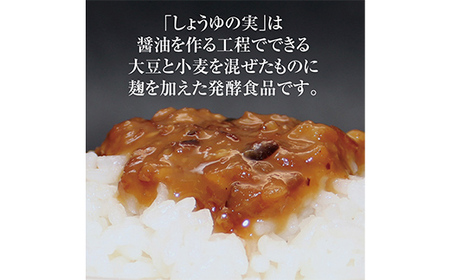 しょうゆの実 10袋 庄内に伝わる昔ながらの味 F2Y-3835