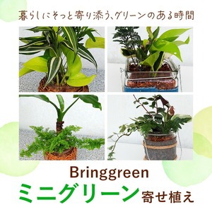 ミニグリーン 寄せ植え bring green Fleurbranch 《90日以内に出荷予定(土日祝除く)》熊本県 菊池市 観葉植物 植物 インテリア ガーデン 雑貨 エコ素材 贈物 プレゼント