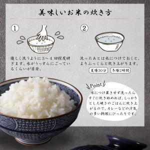 米 白米 コシヒカリ 令和7年産 5kg