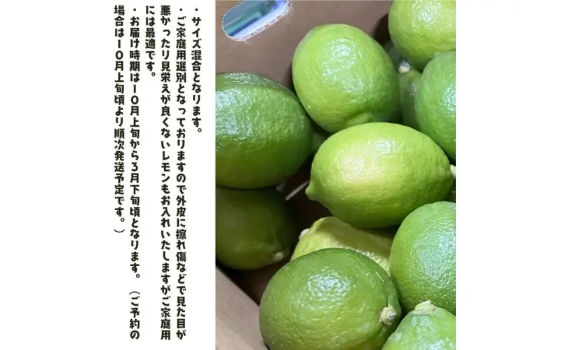 紀州和歌山 ご家庭用 有田 レモン 5kg+200g(痛み補償分)【防腐剤・ワックス不使用】【農家直送】【訳あり】 ※着日指定不可 ※2026年9月下旬～2027年3月下旬に順次発送予定【ard190A】