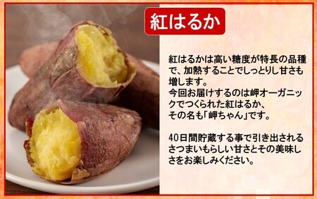 【先行予約】【訳あり】有機栽培さつまいもの岬ちゃん5kg（品種：紅はるか）_2357R