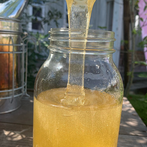 はちみつ くろがねもち 1200g 純粋国産｜はちみつ