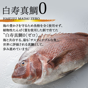 白寿真鯛0(ゼロ) 刺身用 × 熟成鮨 万の醤油麹 2セット OEN0001
