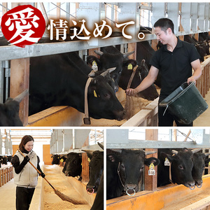 i925 出水市産 上場高原ビーフ サーロインステーキ 計800g(200g×2枚×2P) 牛肉 肉 黒毛和牛 国産 鹿児島県産 サーロイン ステーキ 霜降り 冷凍 【まえだファーム】