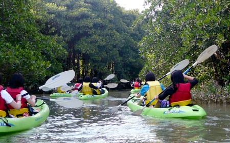 億首川マングローブ・カヌー体験【ペア】