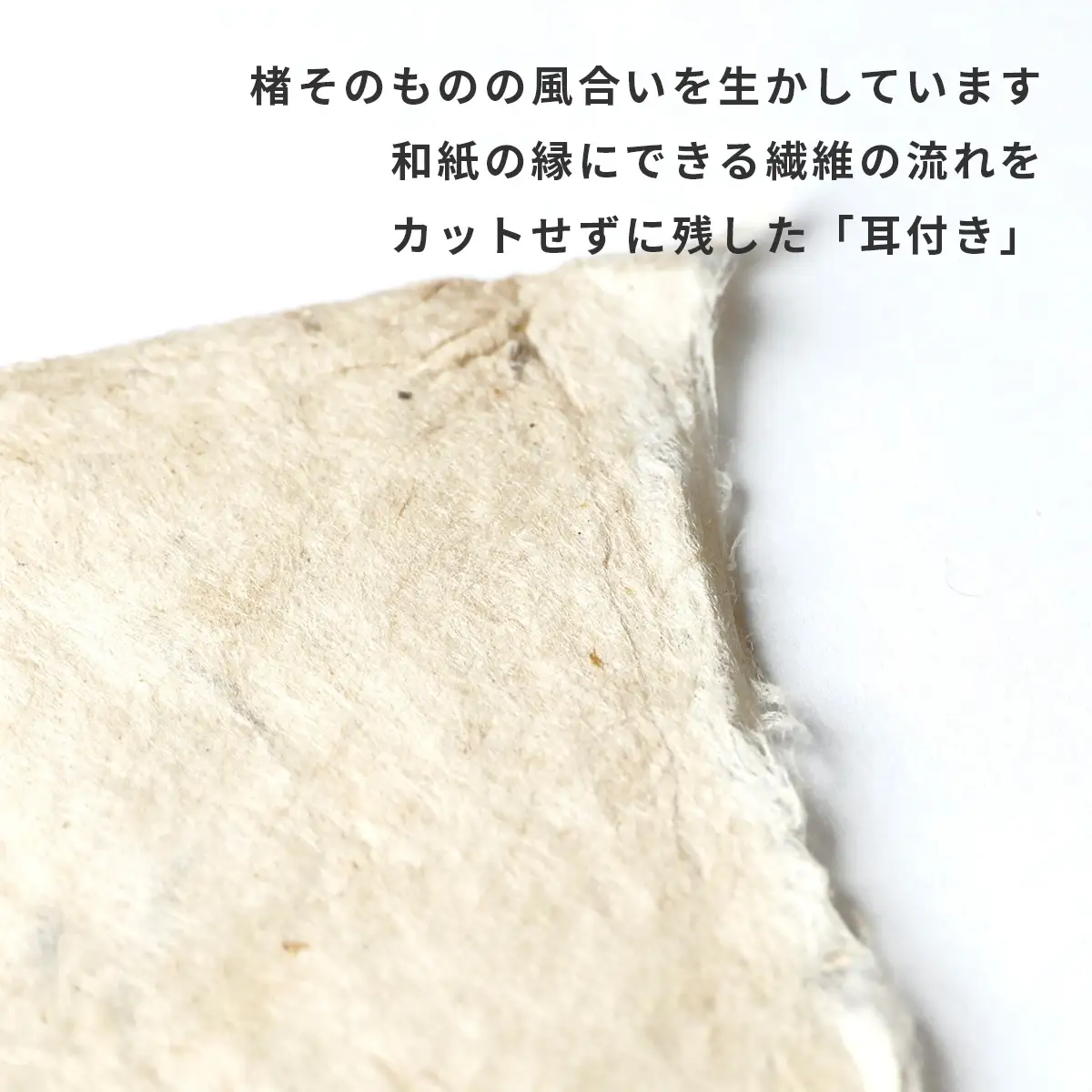 【奏華舎】土佐和紙カード＆染紙封筒セット（人気の柄 / アソート５種）