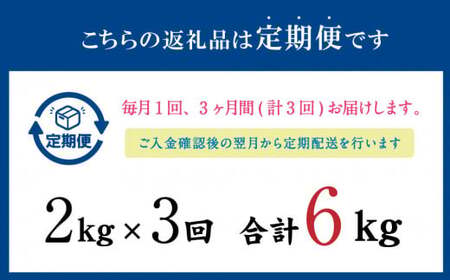 【3ヶ月定期便】 いわし フィーレ 加熱用 合計約6kg 約2kg×3回 鰯 イワシ