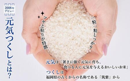 【令和8年度新米】先行予約受付 数量限定 玄米(特別栽培農産物)元気つくし 5kg×2袋 (計10kg)
