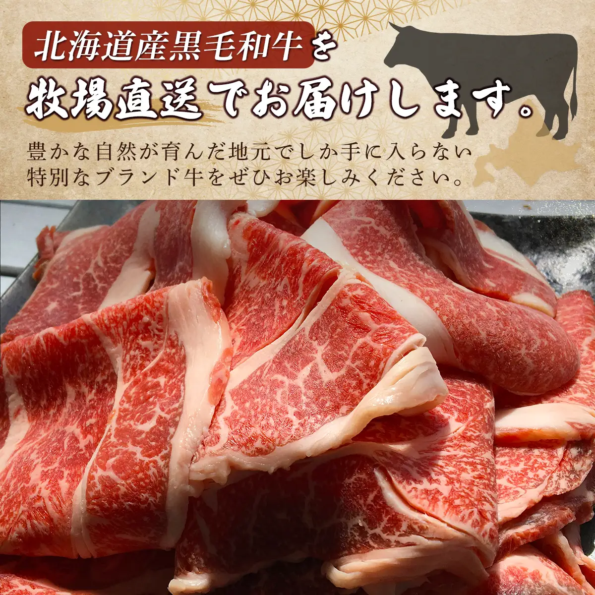北海道産　牧場直送　和牛切り落とし　500g×2 HOKQ003