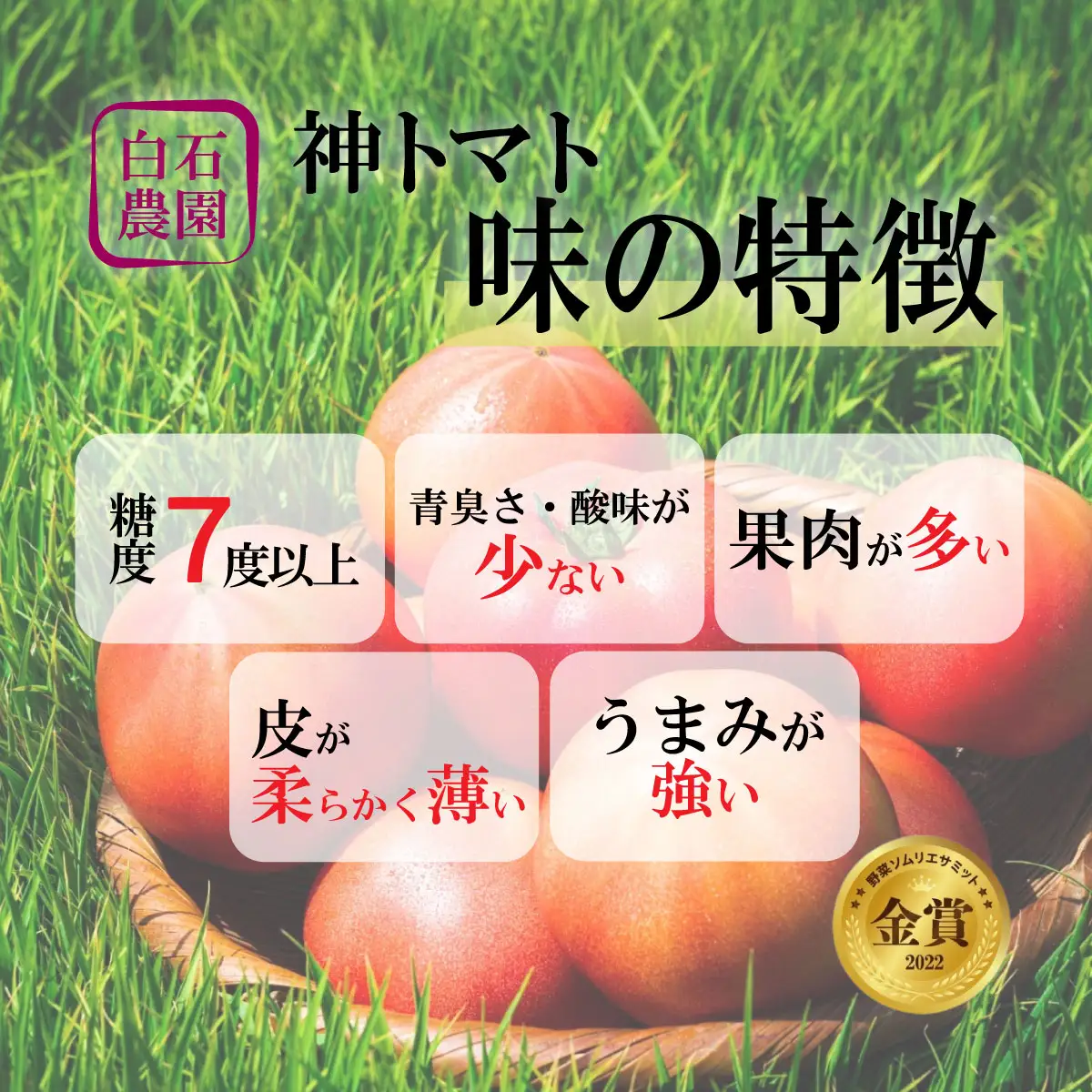 神トマト3K箱 | 「ザ！鉄腕！DASH！！」で紹介！ HOKY001