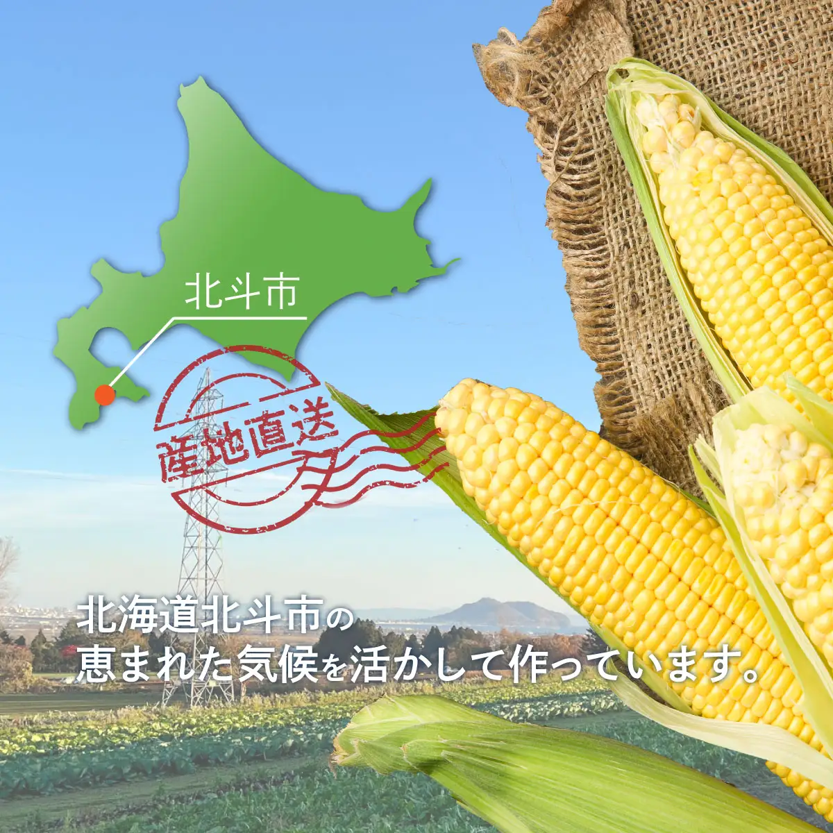【先行受付】北斗とうもろこし 1kg (2026年8月より順次発送) HOKY003