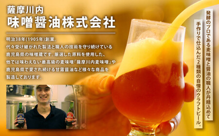 ES-105 薩摩川内ヴァイツェン10本/ゴールデンエール10本　計20本セット